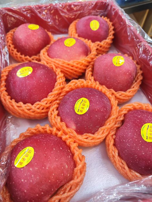 洛川 清洛苹果礼盒装 个头大，口感脆甜多汁！ 商品图0