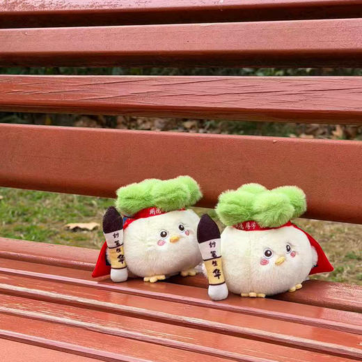 蒜鸟-华科大学生不容易 商品图2