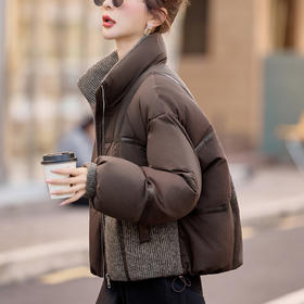 丁摩 拼接立领羽绒服女短款冬季新款时尚减龄保暖加厚外套5ZF-9012