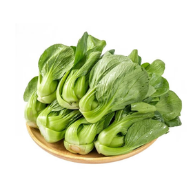 岳西高山小青菜300g 单份  ±20g 买放心菜就上瑞和泰