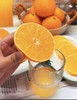 红美人果冻橙 商品缩略图4