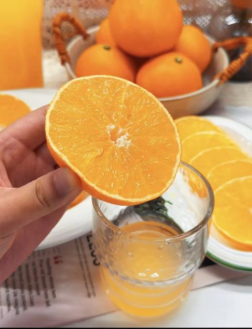 红美人果冻橙 商品图4