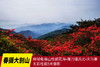 4.25春摄大别山——麻城龟峰山杜鹃花海•薄刀锋风光•天马寨五彩杜鹃5天 商品缩略图0