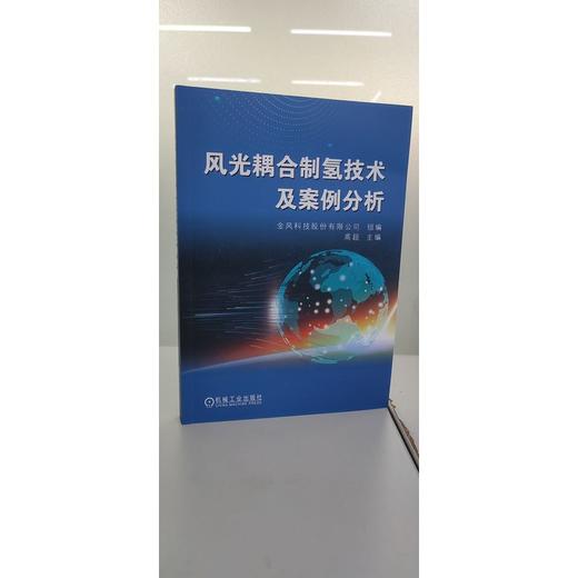 风光耦合制氢技术及案例分析 商品图3