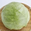 【ZCWJ】新鲜嫩绿卷心菜绿甘蓝圆包菜 商品缩略图2