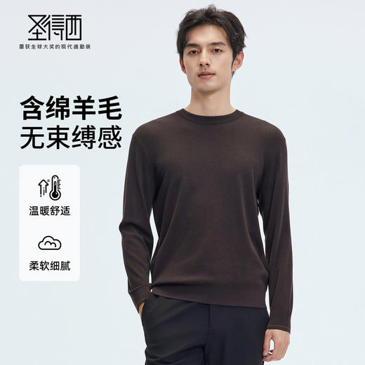 【门店同款】圣得西2025年秋冬季毛衫含绵羊毛男士舒适圆领针织衫 商品图0