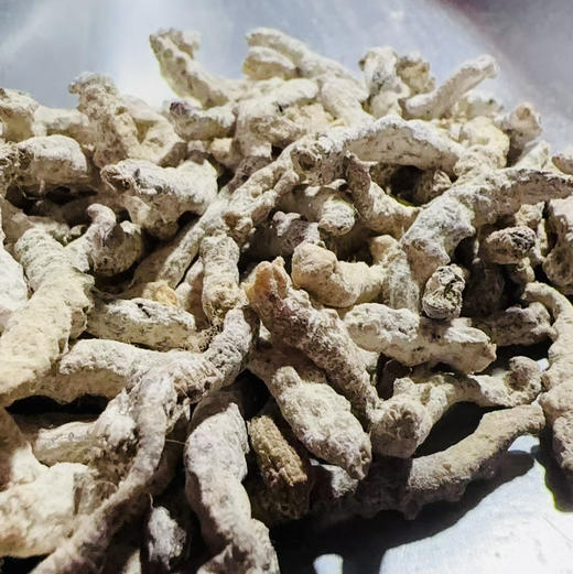 生僵蚕250克  500克  1kg 商品图1