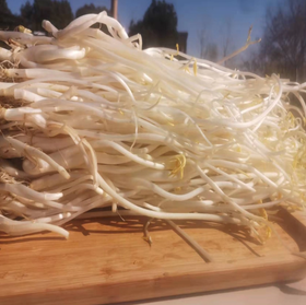 庐江芹芽300g  单份  ±15g 买放心菜就上瑞和泰