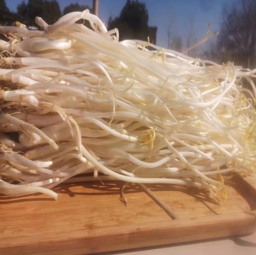 庐江芹芽300g  单份  ±15g 买放心菜就上瑞和泰 商品图0