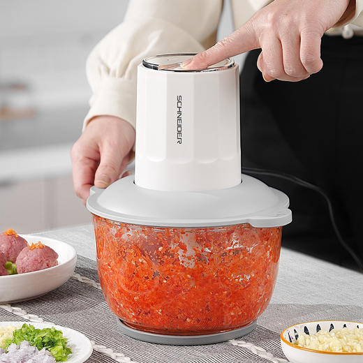 施耐德绞肉机	SWK-XJ01 商品图6