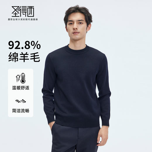 【门店同款&含绵羊毛】圣得西25年秋冬季男士套头毛衫简约针织衫 商品图0