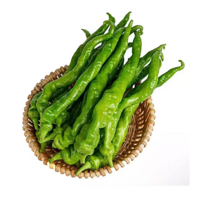 岳西高山螺丝椒300g 单份  ±10g 买放心菜就上瑞和泰