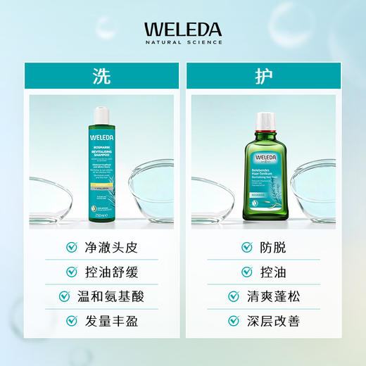 WELEDA维蕾德迷迭香洗发水控油去屑滋润保湿250ml 商品图3