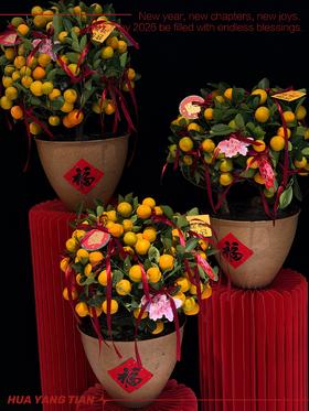 橙心如意 · 金桔盆栽
