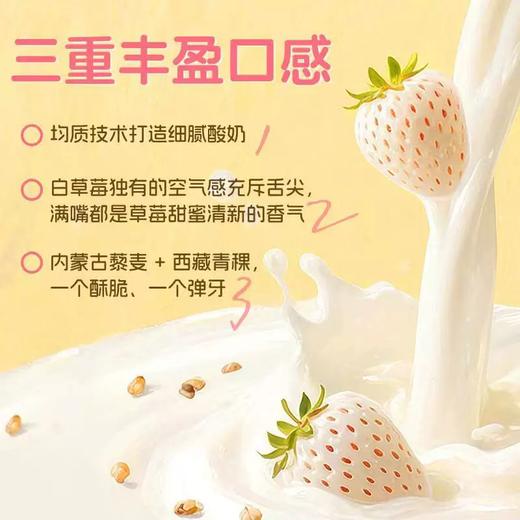 230g*10认养1头牛白草莓藜麦酸奶 商品图3