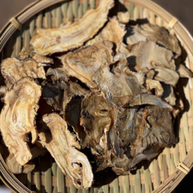 深山当归 多年生 手工切片 药香浓郁 原产甘肃岷县