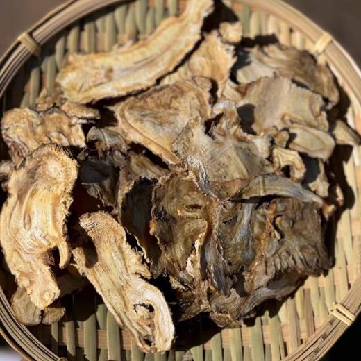深山当归 多年生 手工切片 药香浓郁 原产甘肃岷县 商品图0