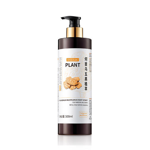 买一送一【专攻油扁塌，深度护理】阿古丽娅-何首乌五黑植萃洗发水 500ml/瓶 商品图4