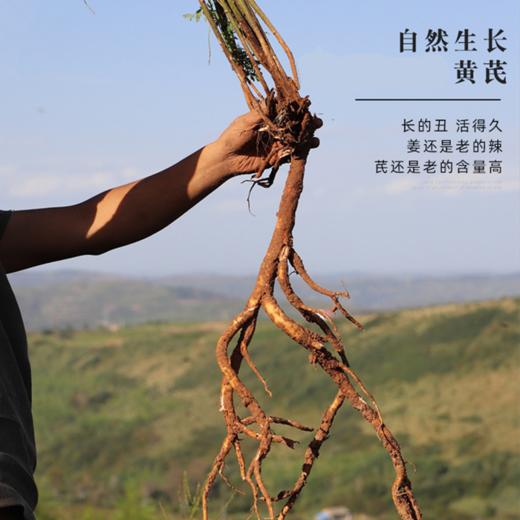 深山黄芪大片 多年生 自然生长药性足 原产甘肃岷县 商品图1