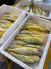 深海鱼组合【黄翅鱼+黄花鱼+金线鱼】肉质鲜美 ，高蛋白，本港靓货现发  【活冻】 商品缩略图2