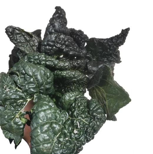 霜打乌心菜400g 袋装  ±20g 买放心菜就上瑞和泰 商品图0