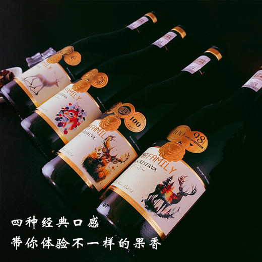 【16度葡萄酒4支礼盒装】干红葡萄酒 4种经典口感红酒 新年送礼礼盒装 商品图0