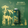 250ml*10认养1头牛A2β酪蛋白（黑土限定） 商品缩略图3
