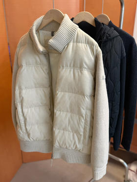 2512504    哈狗男士 立领羽绒