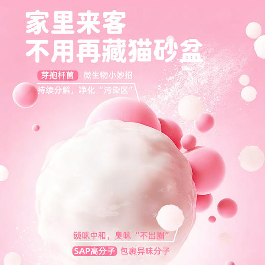 冒险与它木薯猫砂1.25kg 樱花香祛味防臭不粘底 整箱12袋 商品图4