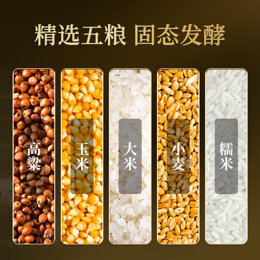 【凤凰】五粮液股份 福满盛世金樽福52度浓香型白酒 宴请送礼 商品图3