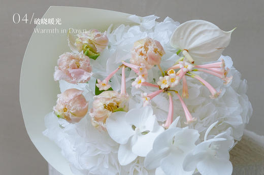 觅光之境 Luminous Field 商品图4