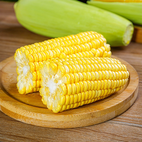 岳西高山甜玉米（2根） 单份买放心菜就上瑞和泰