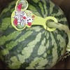 王婆西瓜（10斤左右多退少补） 商品缩略图1