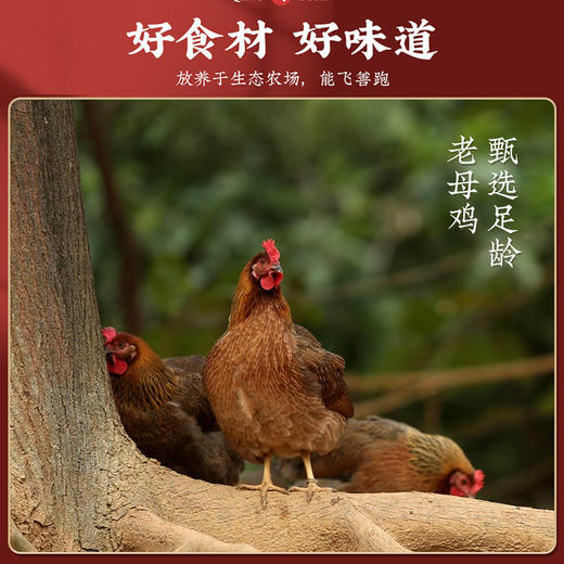 清远鸡礼盒A款 商品图6