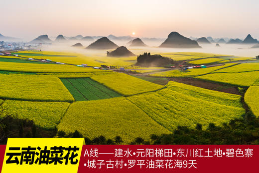 2月26日云南油菜花海A线——建水•元阳梯田•东川红土地•碧色寨•城子古村•罗平油菜花海9天 商品图0