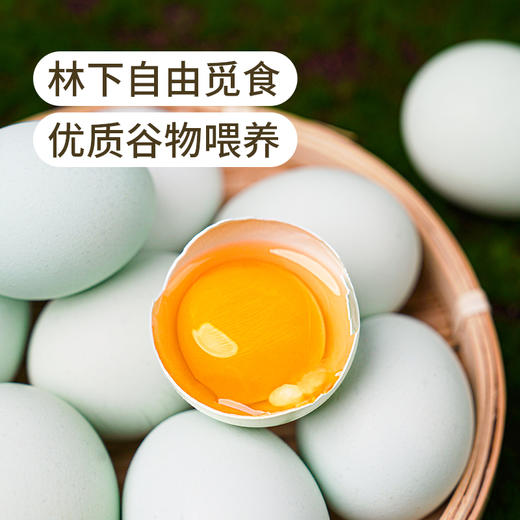 有机散养绿壳鸡蛋 商品图2