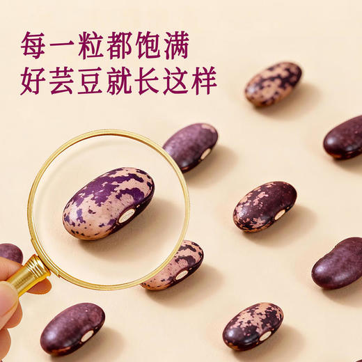 全食物日记 有机芸豆(花腰)380g 商品图2
