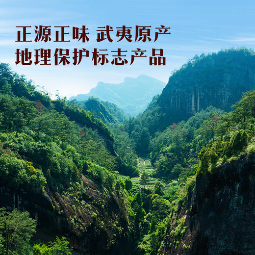 八马茶业｜四大茗著·武夷岩茶组合大红袍+水仙+肉桂168g罐装 商品图1