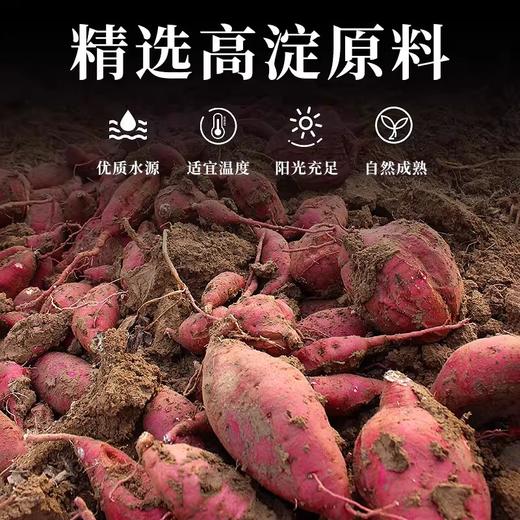 红薯粉条 久煮不烂 口感爽滑劲道 商品图2