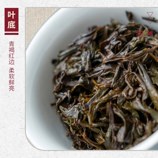 【山纯限品】2025年040大王峰瑞香17g 商品图4