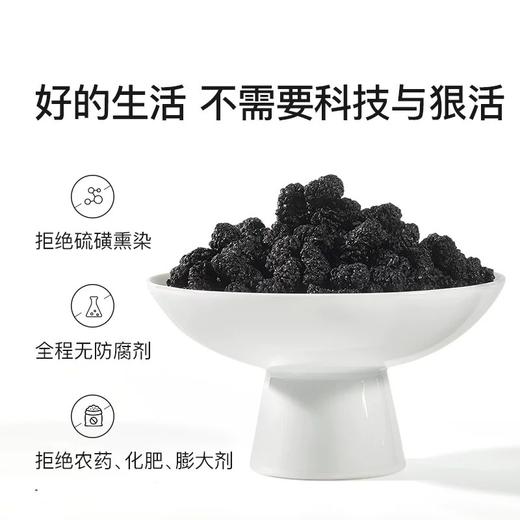 紫基九珍十八品寒地桑葚果干250g/袋 商品图3