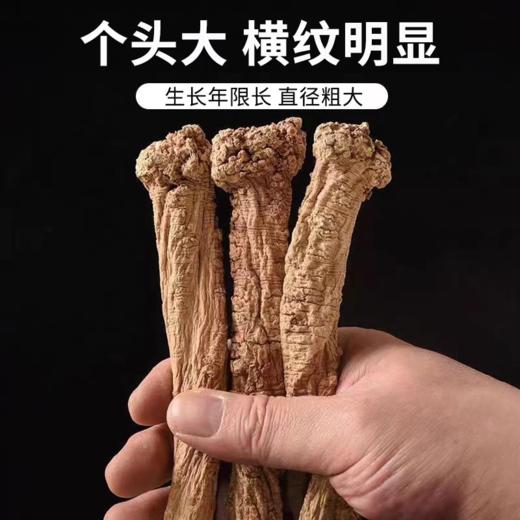 深山当归 多年生 手工切片 药香浓郁 原产甘肃岷县 商品图6