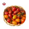 优选|福建多彩小番茄 黄/三拼/多彩小番茄 紧实酸甜 脆嫩水润  发顺丰京东 3斤装 商品缩略图0