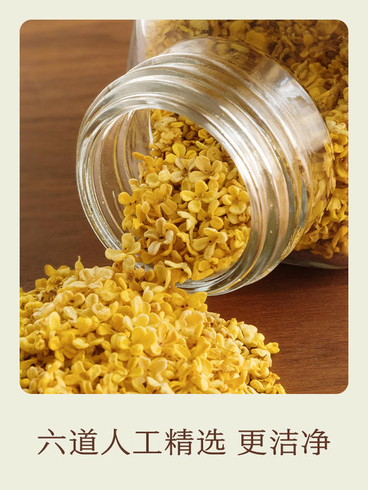 【两罐装 精选特级桂林金桂花】微波真空直采直发；0香精0添加0硫熏自然本色，入口清香怡人。大孔料罐设计，用量好把控； 商品图5