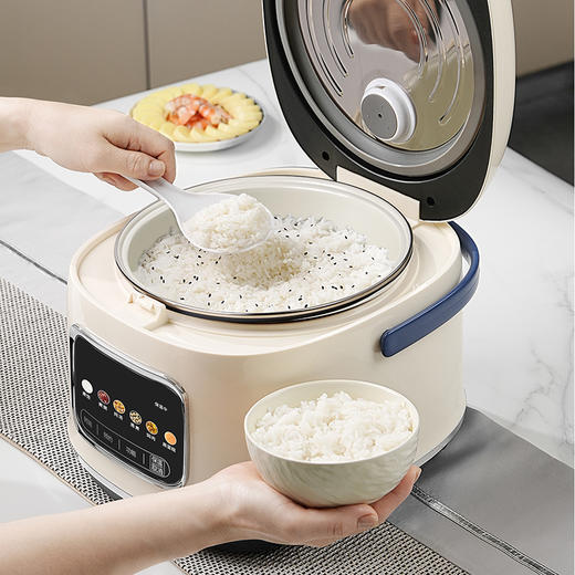 施耐德智能电饭煲	SWK-XFL47 商品图1