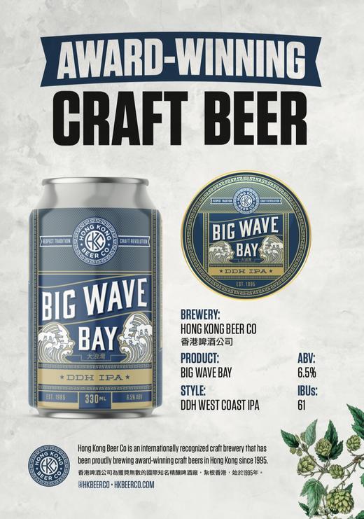 香港啤酒公司 大浪灣 330ml 商品图0