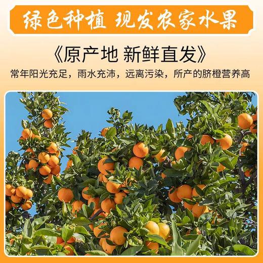 【秒杀❗39.9抢9斤🔥西赣州赣南脐橙】甜蜜多汁，徒手轻捏就能榨出汁，营养丰富！新鲜橘子当季整箱手剥橙子现摘，非沃柑砂糖橘整箱包邮，2026马年春节新年货礼物L 商品图3