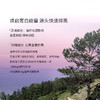 福利清仓特惠产品 不退不换【美专保税】西班牙美斯蒂克第二代亮白饮30ml*6瓶/盒多规格 商品缩略图3