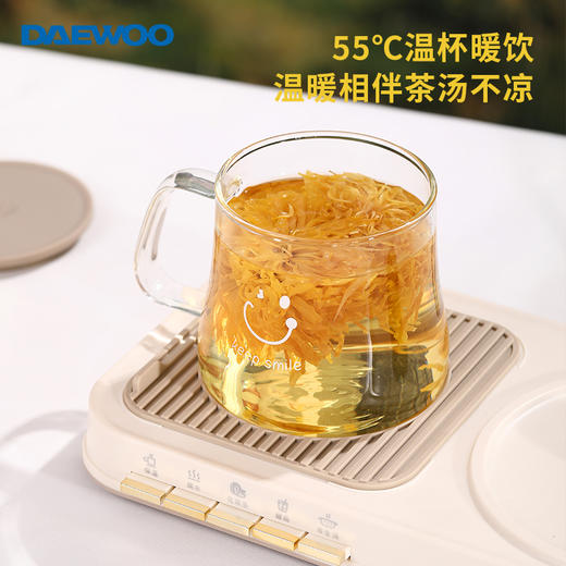 大宇多功能养生壶套装 商品图7