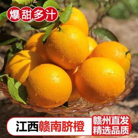 【秒杀❗39.9抢9斤🔥西赣州赣南脐橙】甜蜜多汁，徒手轻捏就能榨出汁，营养丰富！新鲜橘子当季整箱手剥橙子现摘，非沃柑砂糖橘整箱包邮，2026马年春节新年货礼物L